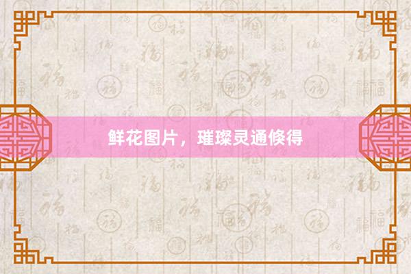 鲜花图片，璀璨灵通倏得