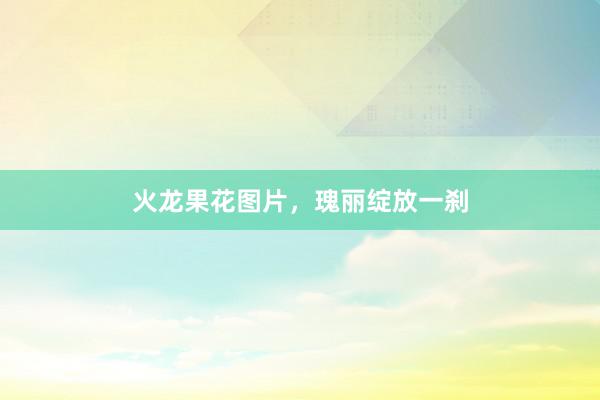 火龙果花图片，瑰丽绽放一刹