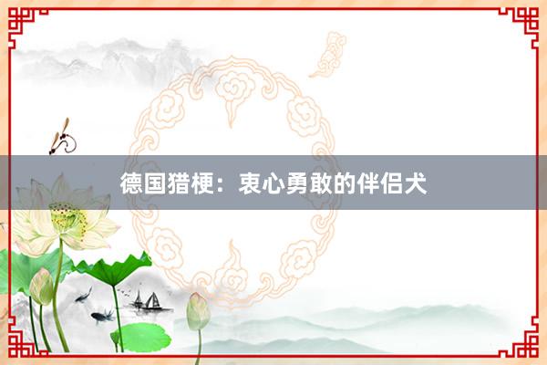 德国猎梗:衷心勇敢的伴侣犬