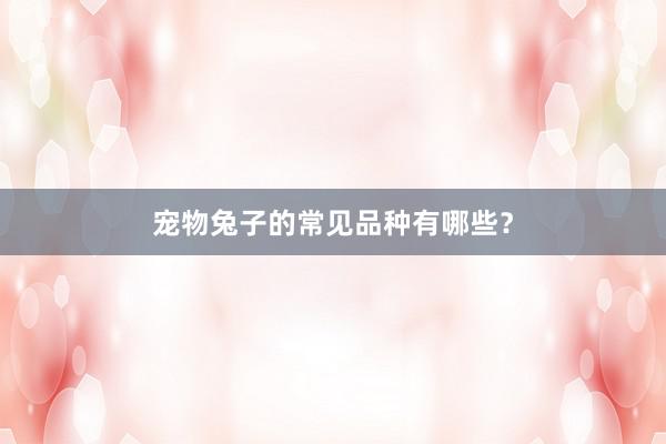 宠物兔子的常见品种有哪些？